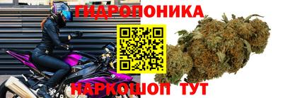 гашик Малоярославец