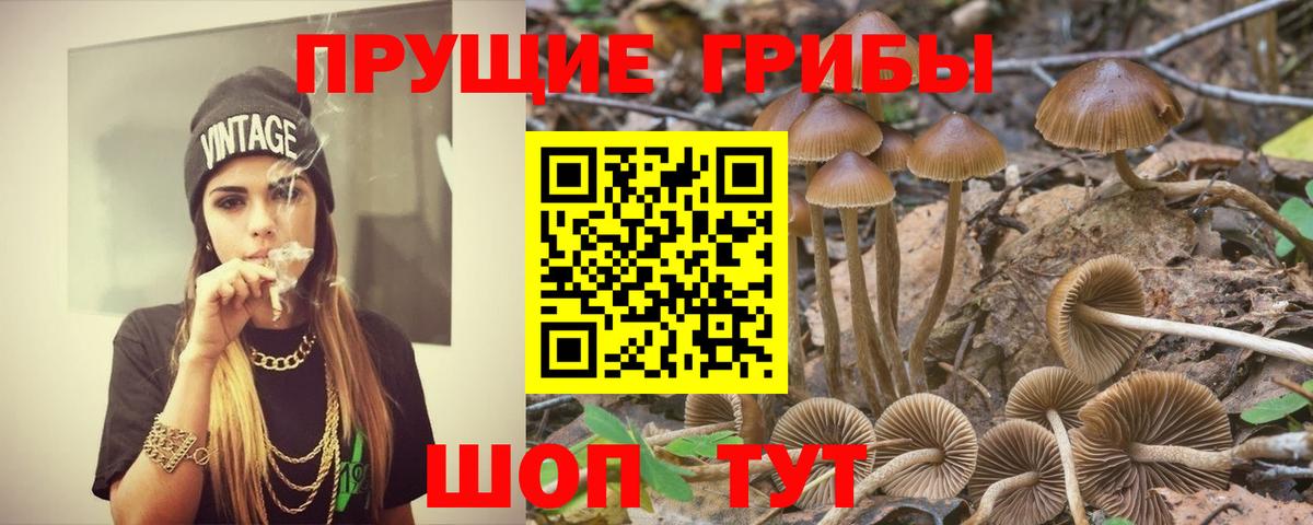 Псилоцибиновые грибы Psilocybine cubensis  Вход с VPN  Псилоцибиновые грибы мухоморы  Десногорск 
